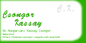 csongor kassay business card